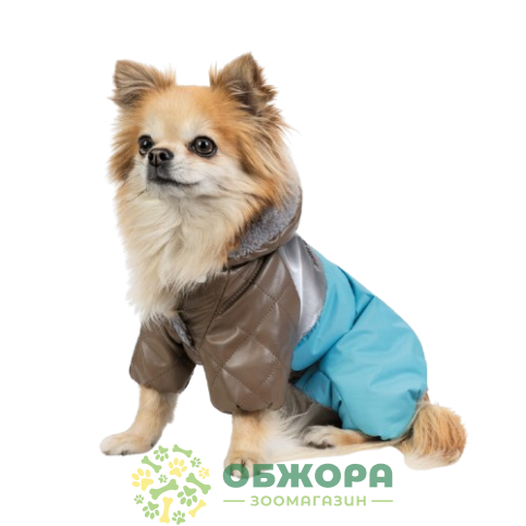 Pet Fashion Сharlie_2