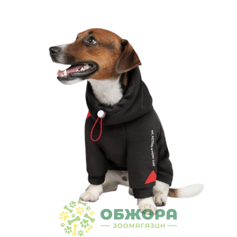 Pet Fashion Snoodie_1