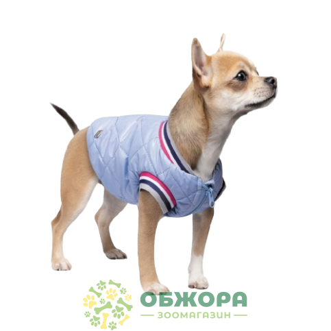 Pet Fashion Spike_2
