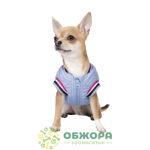 Pet Fashion Spike_1