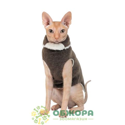 Pet Fashion Tom_1