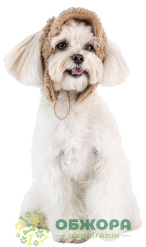 Pet Fashion Valley шапка для собак, бежевая_1