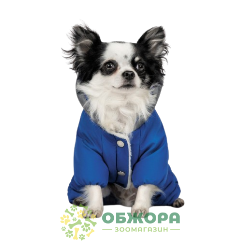 Pet Fashion Zhan_1