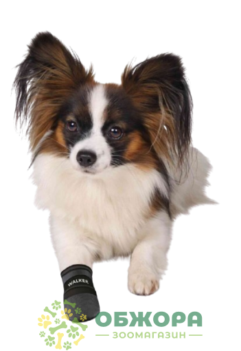 Trixie Walker Care Comfort_1