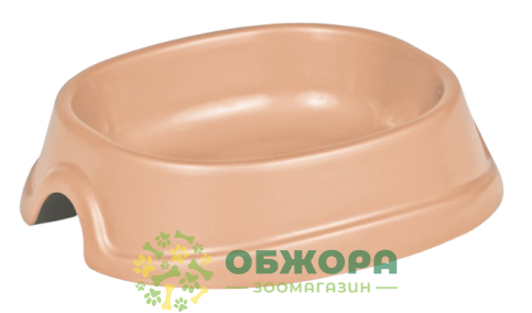 Природа Модерн