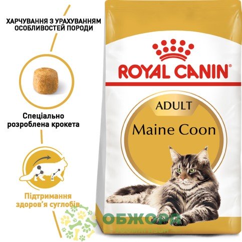 Royal Canin Maine Coon сухий корм для котів породи Мейн-кун_1