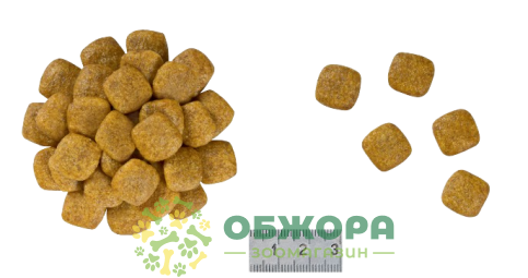 Royal Canin Renal Dog сухий корм для собак з захворюванням нирок_1