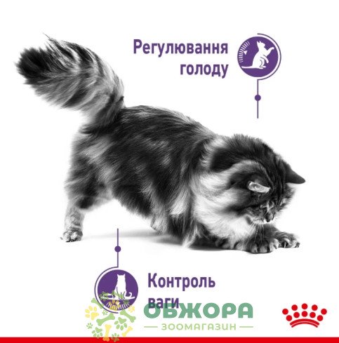 Royal Canin Appetite Control сухой корм для котов, контроль веса_1