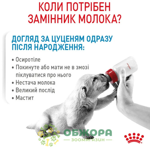 Royal Canin Babydog Milk замінник молока для цуценят від народження_1