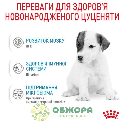 Royal Canin Babydog Milk замінник молока для цуценят від народження_2