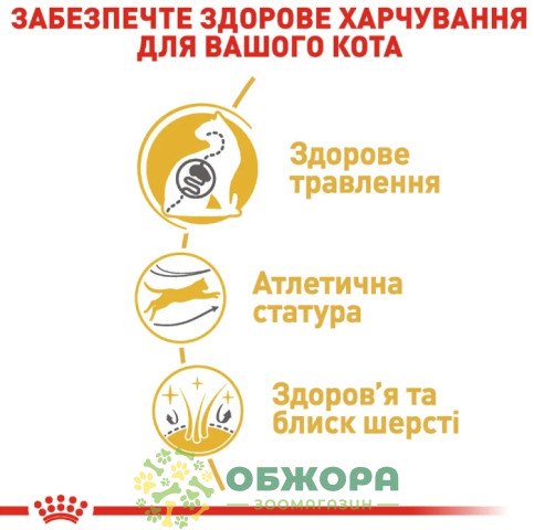 Royal Canin Bengal сухий корм для котів породи Бенгал_3