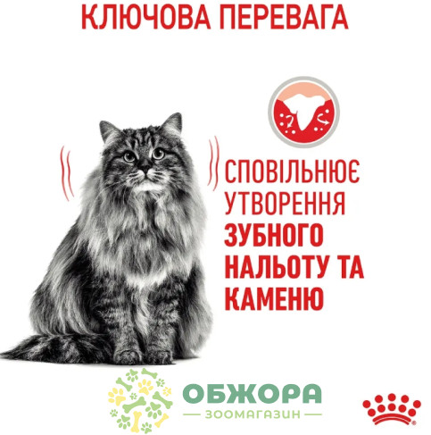 Royal Canin Dental сухий корм для котів, для зубів_2