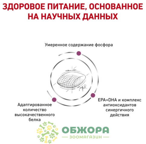 Royal Canin Early Renal сухой корм для собак с заболеванием почек_2