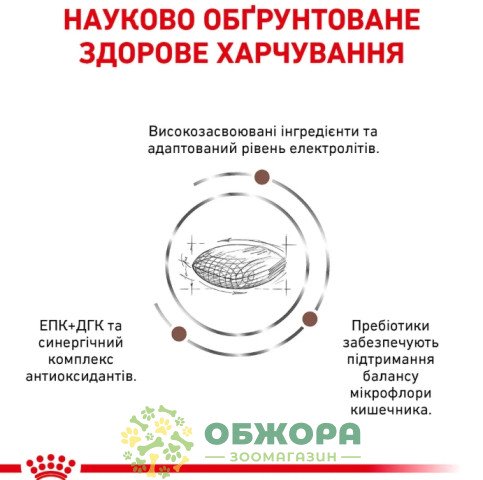 Royal Canin Gastrointestinal Low Fat Dog сухой корм для собак с расстройством пищеварения, с низким количеством жира_3