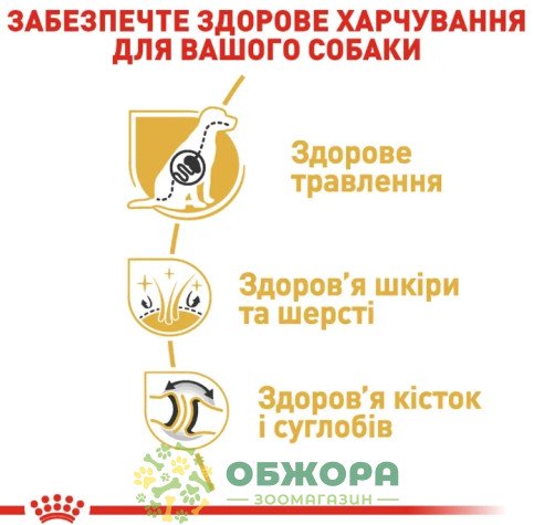 Royal Canin German Shepherd сухий корм для собак породи Німецька вівчарка_2