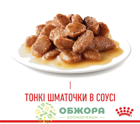 Royal Canin Hair and Skin вологий корм для котів, для шкіри та шерсті, в соусі_1