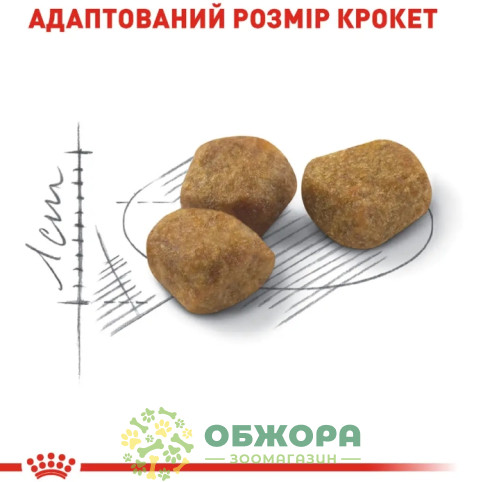 Royal Canin Indoor 7+ сухой корм для пожилых котов 7+, проживающих в помещении_2