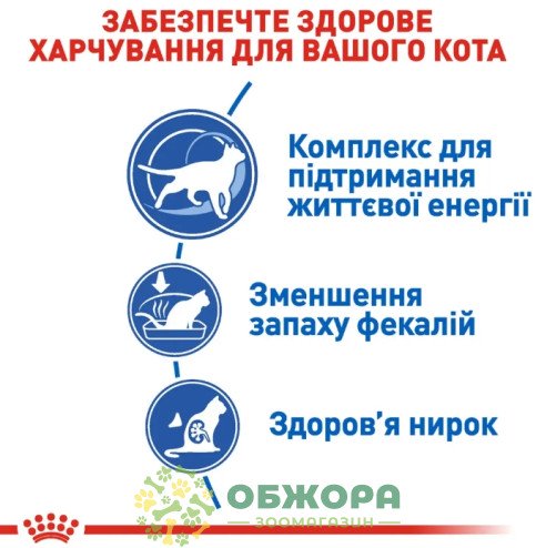 Royal Canin Indoor 7+ сухой корм для пожилых котов 7+, проживающих в помещении_3