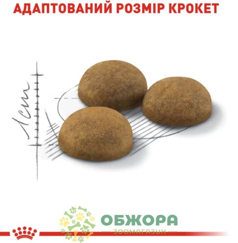 Royal Canin Indoor Long Hair сухой корм для котов, проживающих в помещении_2