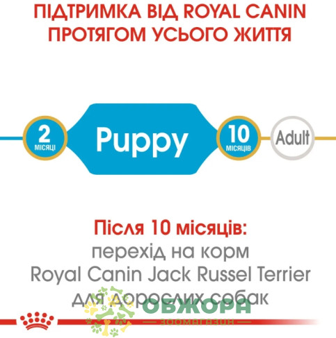 Royal Canin Puppy Jack Russel сухой корм для щенков породы Джек Рассел_4