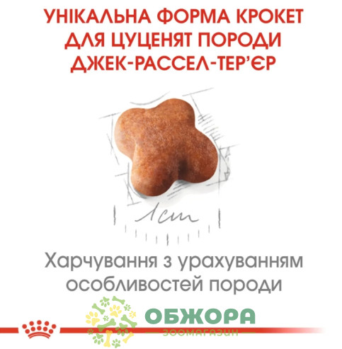 Royal Canin Puppy Jack Russel сухой корм для щенков породы Джек Рассел_2