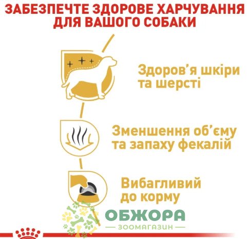Royal Canin Maltese сухий корм для собак породи Мальтійська болонка_2