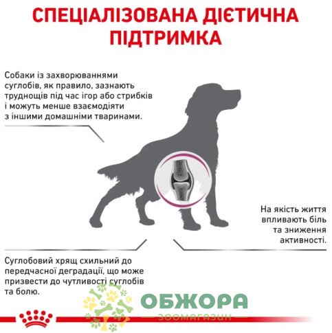 Royal Canin Mobility Support сухий корм для собак з захворюванням опорно - рухового апарату_2