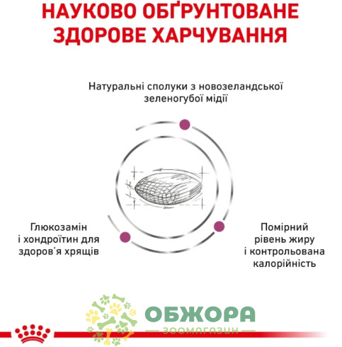 Royal Canin Mobility Support сухий корм для собак з захворюванням опорно - рухового апарату_3