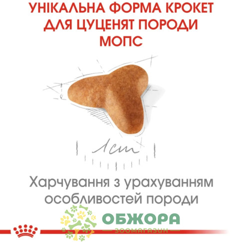 Royal Canin Puppy Pug сухой корм для щенков породы Мопс_2