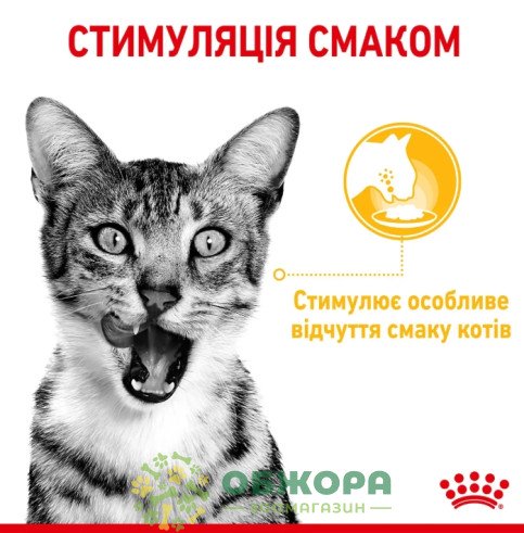 Royal Canin Sensory Taste влажный корм для привередливых котов, в соусе_3