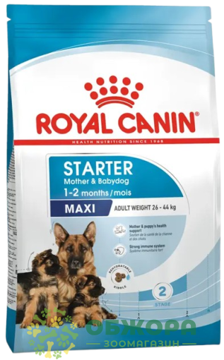 Royal Canin Starter Mother and Babydog Maxi сухой корм для беременных собак и щенков больших пород от 1 до 2 месяцев