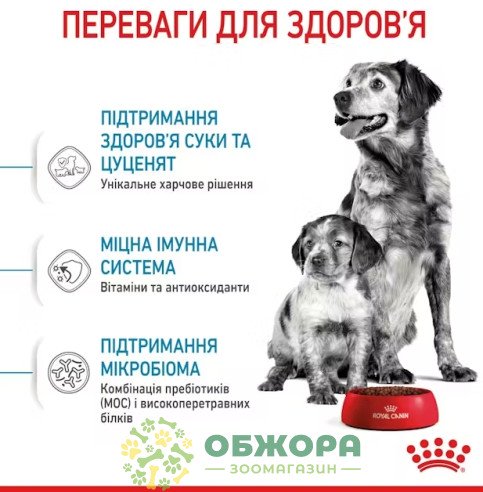Royal Canin Starter Mother and Babydog Medium сухий корм для вагітних собак та цуценят середніх порід від 1 до 2 місяців_3