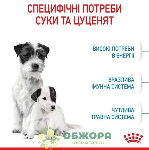 Royal Canin Starter Mother and Babydog Mini сухой корм для беременных собак и щенков малых пород от 1 до 2 месяцев_2