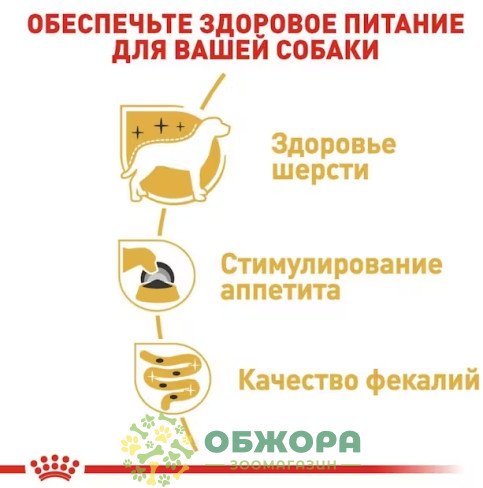 Royal Canin Yorkshire Terrier влажный корм для собак породы Йоркширский терьер, паштет_1
