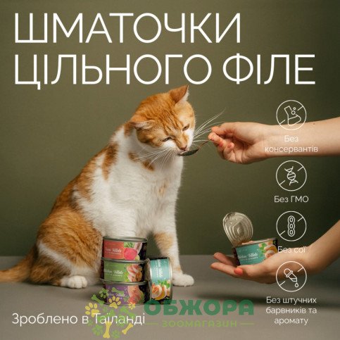 Savory GF Kitten Chicken, Shrimps беззерновий вологий корм для кошенят, в желе, з куркою та креветками_3