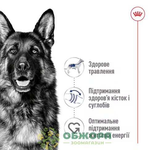 Royal Canin Maxi сухой корм для собак больших пород_2