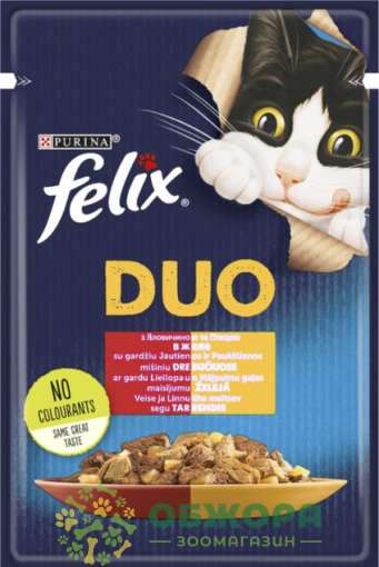 Felix Duo