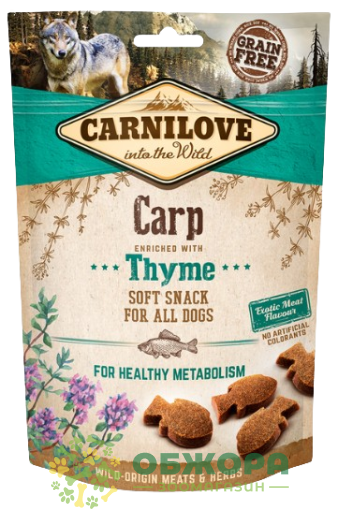 Carnilove Grain Free for Healthy Metabolism Carp and Thyme
