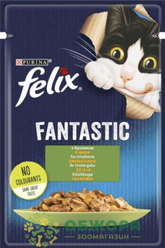 Felix Fantastic