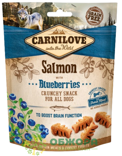 Carnilove Grain Free Boost Brain Function Salmon and Blueberries