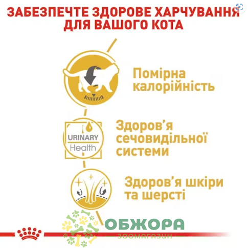 Royal Canin British Shorthair 3.2+800 г сухий корм для котів породи Британська короткошерста_1