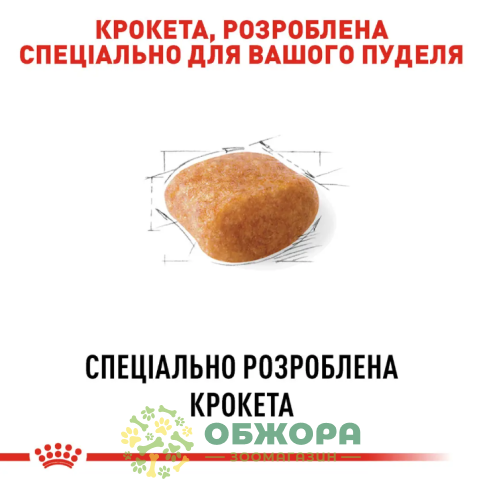 Royal Canin Poodle сухой корм для собак породы пудель_2