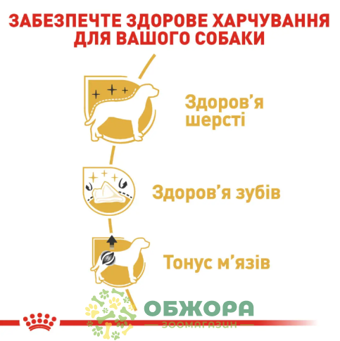 Royal Canin Poodle сухой корм для собак породы пудель_3