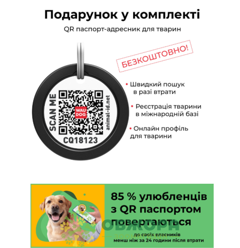 Collar WauDog Glamour_5