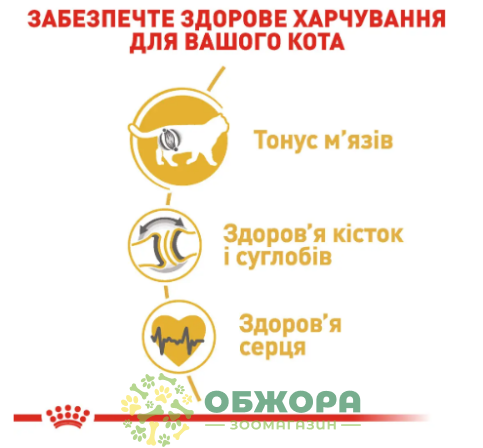 Royal Canin British Shorthair 8+2 кг сухий корм для котів породи Британська короткошерста_1