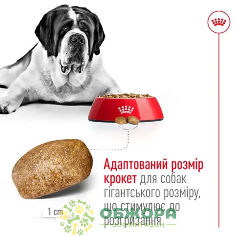 Royal Canin Giant сухий корм для собак гігантських порід_2