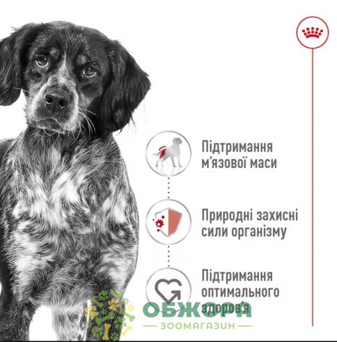 Royal Canin Medium AdultRoyal Canin Medium сухий корм для собак середніх порід_3