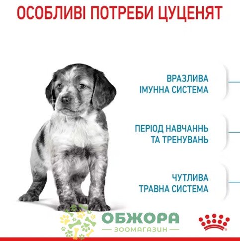 Royal Canin Medium Puppy 12+3 кг_1