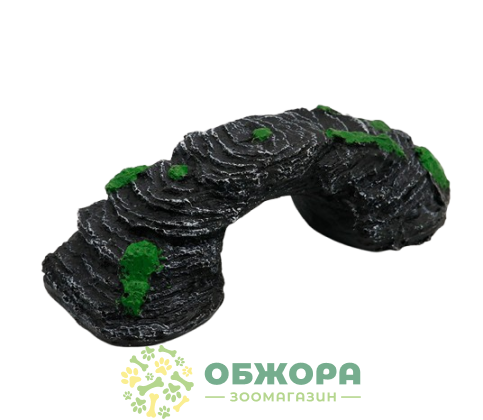 Nemo Грот