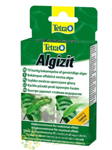 Tetra Algizit
